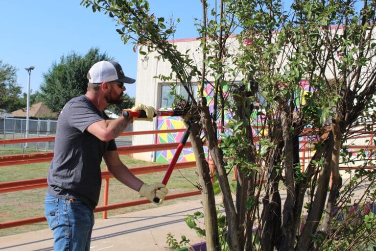 Day of Caring Volunteer pruning tree